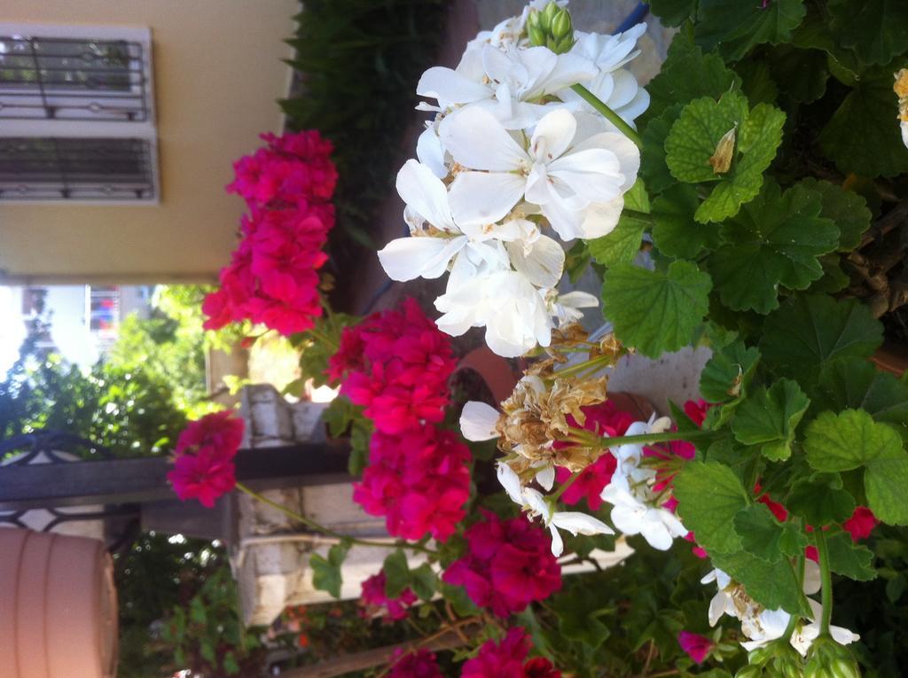 Besik Hotel Fethiye Zewnętrze zdjęcie