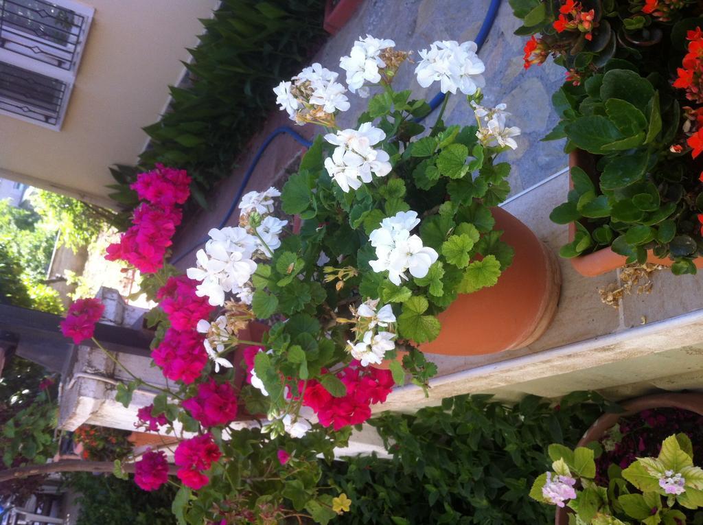 Besik Hotel Fethiye Zewnętrze zdjęcie
