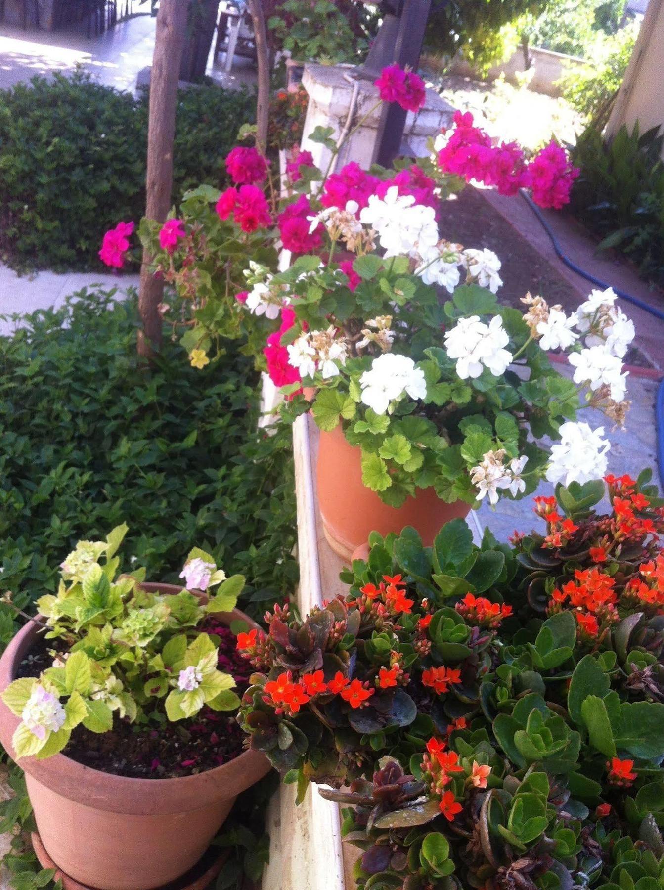 Besik Hotel Fethiye Zewnętrze zdjęcie