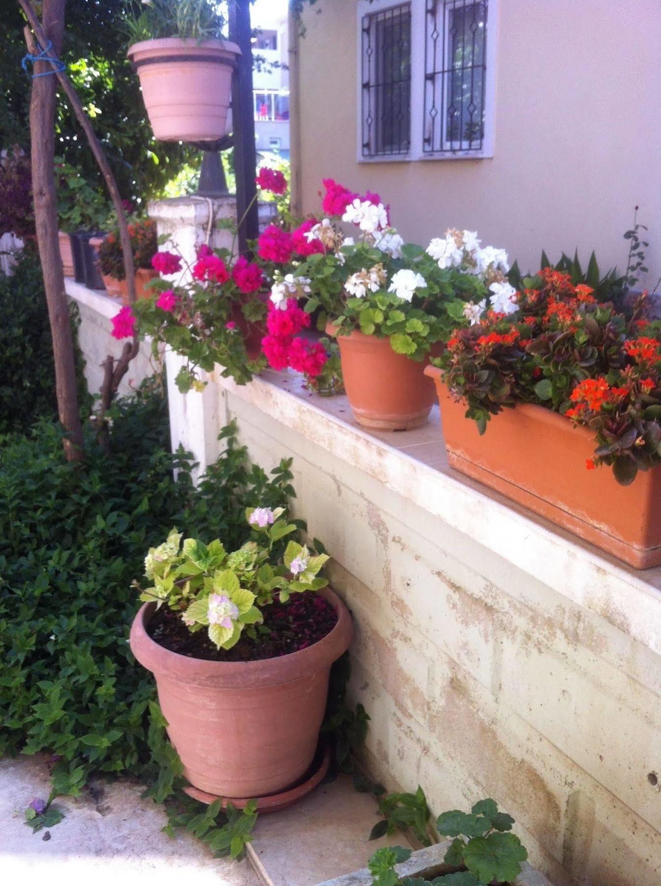 Besik Hotel Fethiye Zewnętrze zdjęcie
